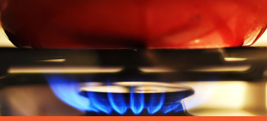KitchenGuard Mini Fire Suppression